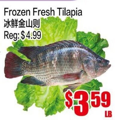 Frozen Fresh Tilapia