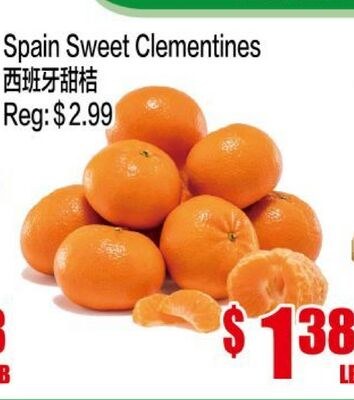 Spain Sweet Clementines