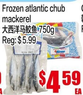 Frozen atlantic chub mackerel
