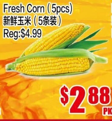 Fresh Corn (5pcs)
