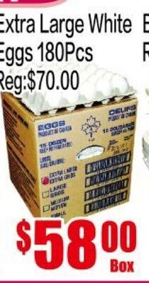 Extra Large White Eggs 180Pcs