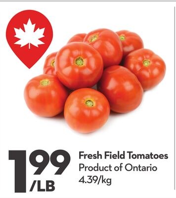 Fresh Field Tomatoes