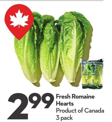 Fresh Romaine Hearts