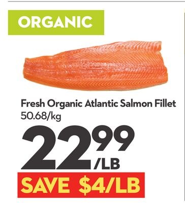 Fresh Organic Atlantic Salmon Fillet