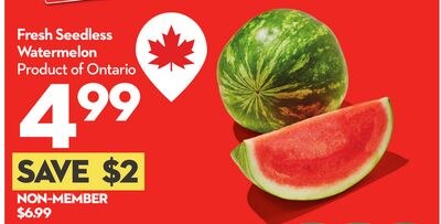 Fresh Seedless Watermelon
