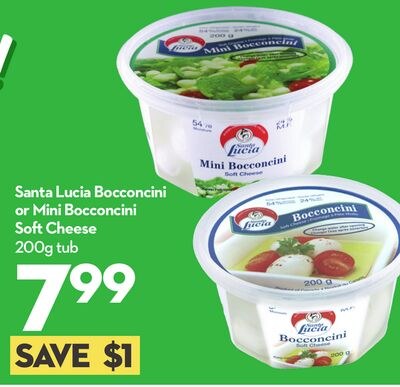Bocconcini or Mini Bocconcini Soft Cheese