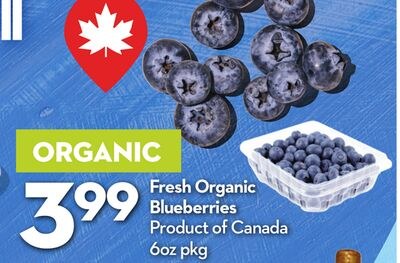 Fresh Organic Blueberries