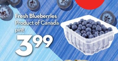 Fresh Blueberries