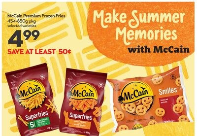 Premium Frozen Fries