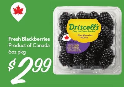 Fresh Blackberries