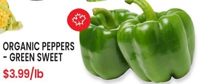 ORGANIC PEPPERS - GREEN SWEET
