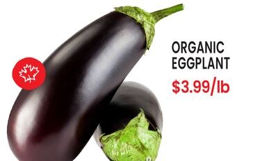 ORGANIC EGGPLANT