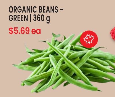 ORGANIC BEANS - GREEN | 360 g