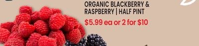 ORGANIC BLACKBERRY & RASPBERRY | HALF PINT