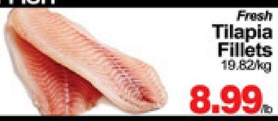 Fresh Tilapia Fillets