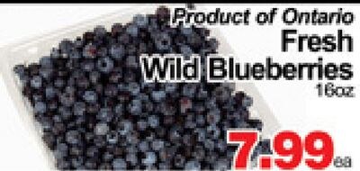 Fresh Wild Blueberries