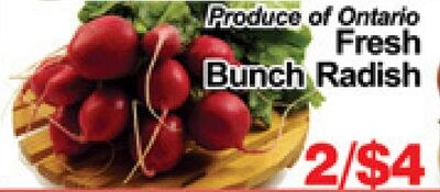 Fresh Bunch Radish