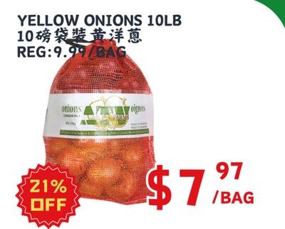 YELLOW ONIONS 10LB