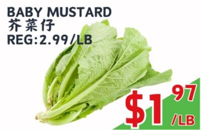 BABY MUSTARD