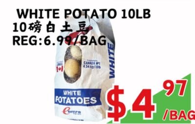 WHITE POTATO 10LB