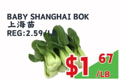 BABY SHANGHAI BOK