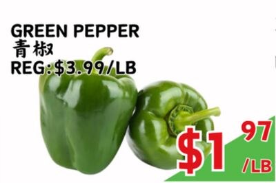 GREEN PEPPER