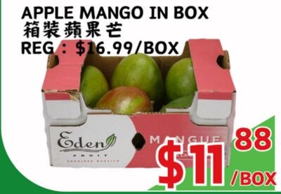APPLE MANGO IN BOX