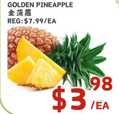 GOLDEN PINEAPPLE