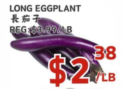 LONG EGGPLANT