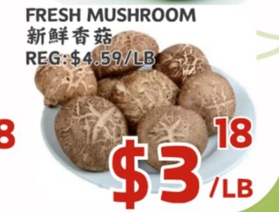FRESH MUSHROOM