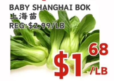 BABY SHANGHAI BOK