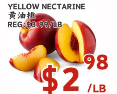 YELLOW NECTARINE