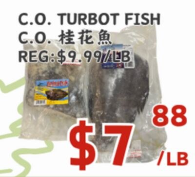 C.O. TURBOT FISH