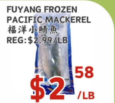 FUYANG FROZEN PACIFIC MACKEREL
