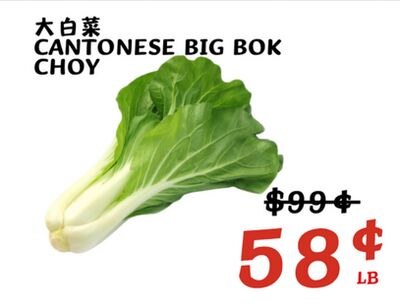 CANTONESE BIG BOK CHOY