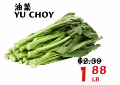 YU CHOY