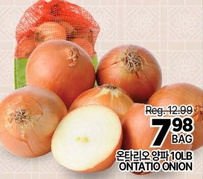 ONTARIO ONION