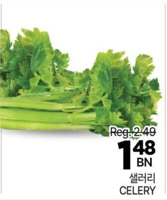 CELERY