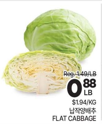 FLAT CABBAGE