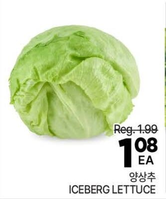 ICEBERG LETTUCE