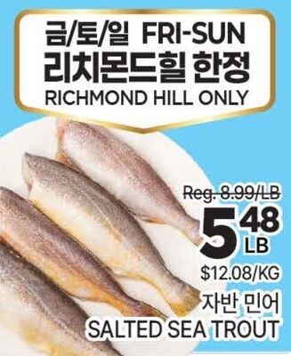 SALTED SEA TROUT
