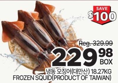 FROZEN SQUID