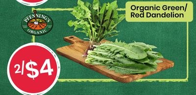 Organic Green/ Red Dandelion