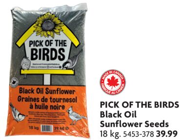 PICK OF THE BIRDS Black Oil Sunflower Seeds