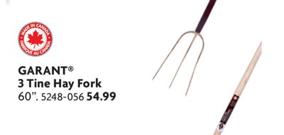 3 Tine Hay Fork