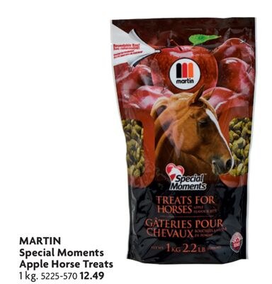 MARTIN Special Moments Apple Horse Treats