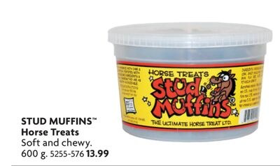 Horse Treats