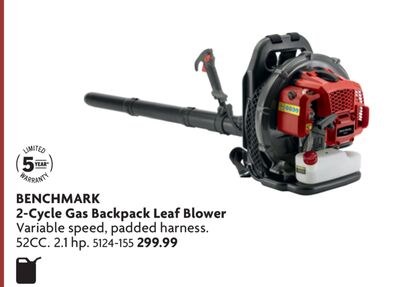 2-Cycle Gas Backpack Leaf Blower