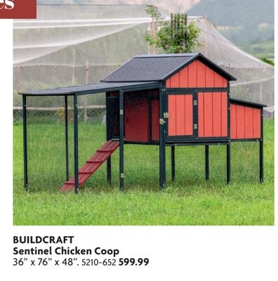 Sentinel Chicken Coop