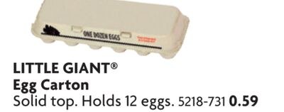 Egg Carton